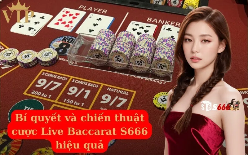 Bí quyết và chiến thuật cược Live Baccarat S666 hiệu quả