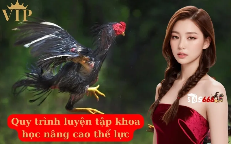 Quy trình luyện tập khoa học nâng cao thể lực