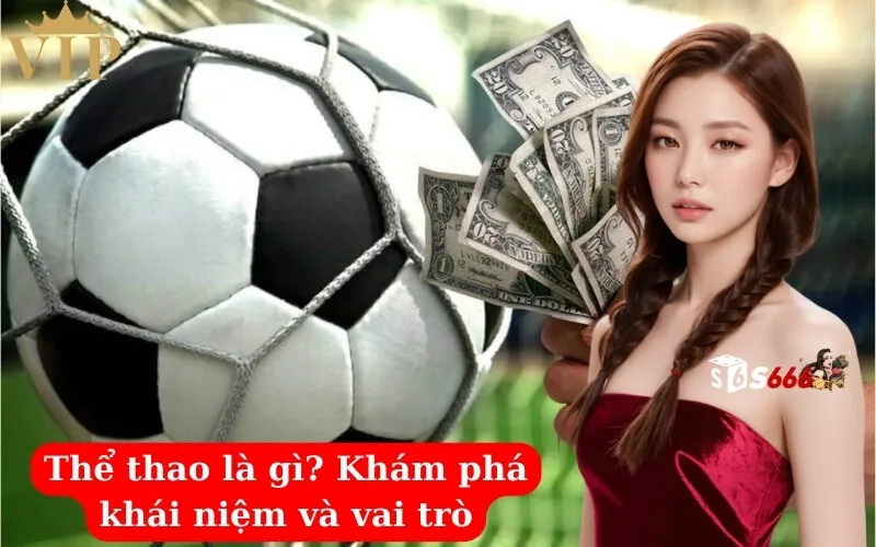 Thể thao là gì Khám phá khái niệm và vai trò